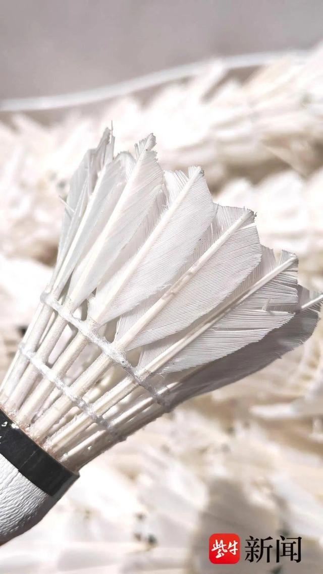 羽毛球爱好, 它的飞行轨 羽毛球爱好, 它的飞行轨