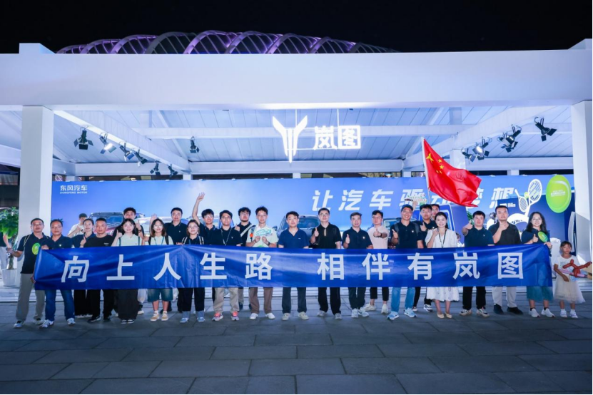 岚图追光L 岚图追光L